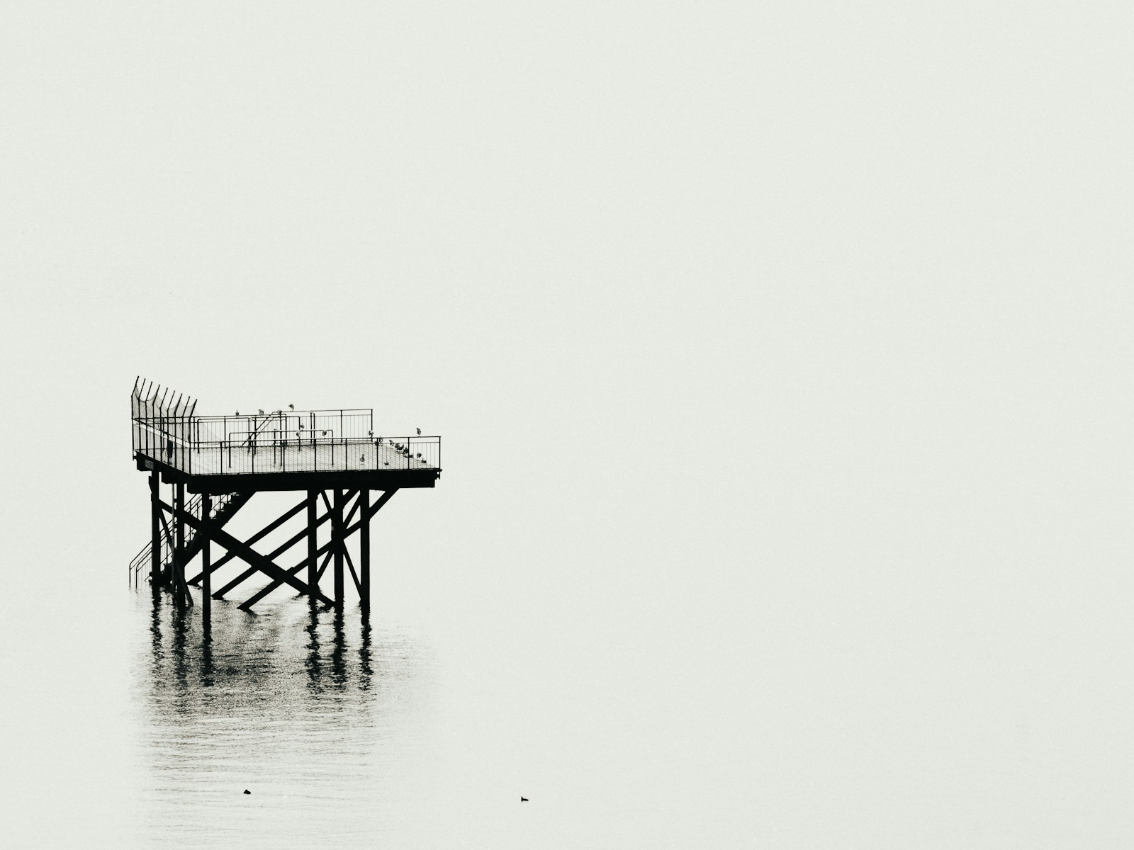 Negative Space Fotografi