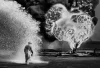Foto dokumenter epik hitam putih karya Sebastião Salgado yang mengangkat isu sosial dan lingkungan